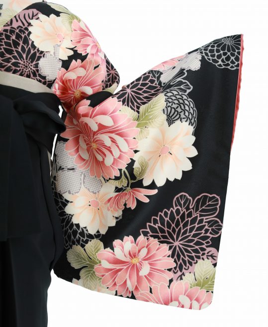 卒業式着物[かわいい系]黒にピンクと薄ベージュの菊柄No.111